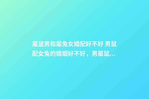 屬鼠男和屬兔女婚配好不好 男鼠配女兔的婚姻好不好，男屬鼠配女屬兔婚姻上旺不旺